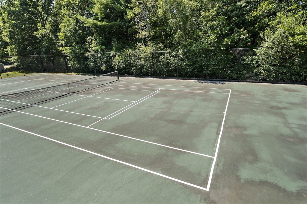 3 Blueberry Court # 3