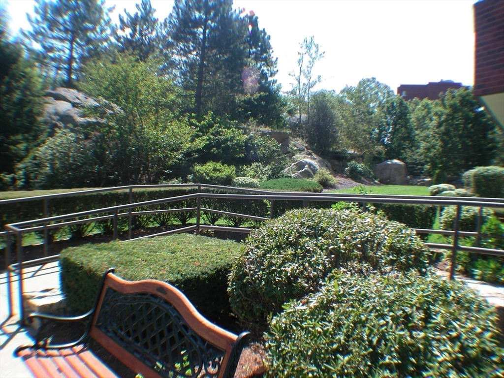 200 Burkhall St # 502