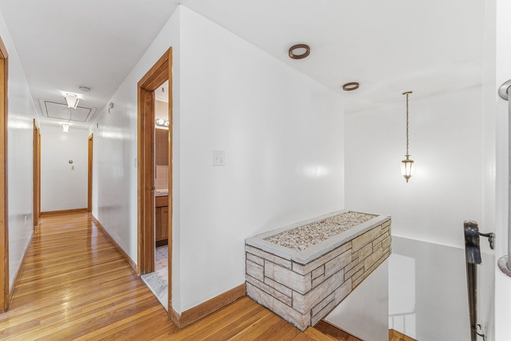 7 Carol St