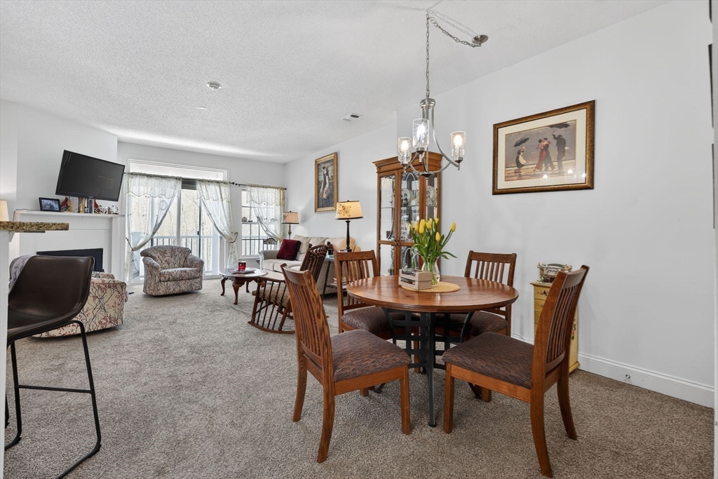 169 Tyson Common Lane # 169