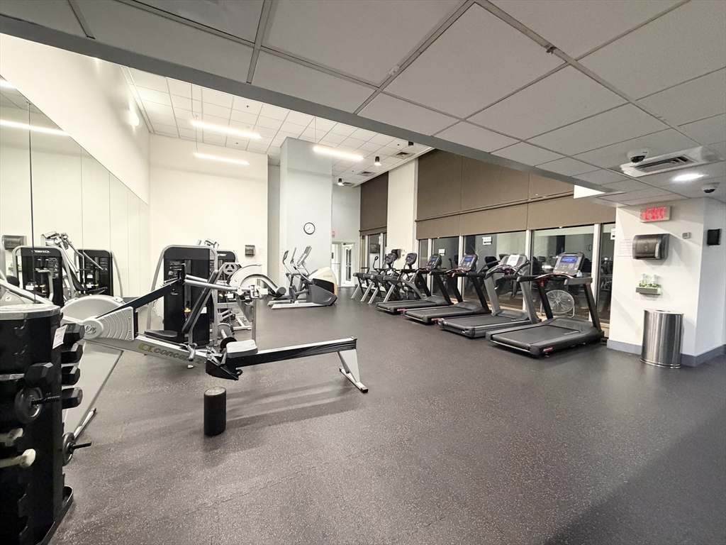 8-12 Museum Way # 1902