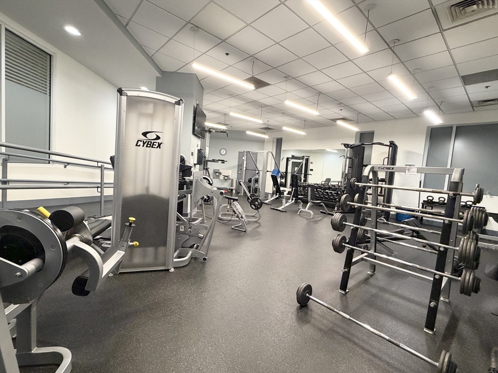 8-12 Museum Way # 1902