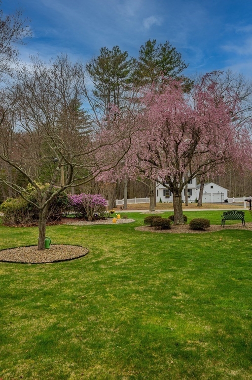 39 Dwelley Ave
