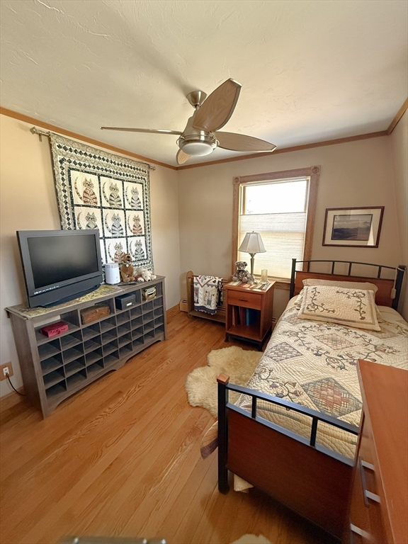 16 Cotton Ave
