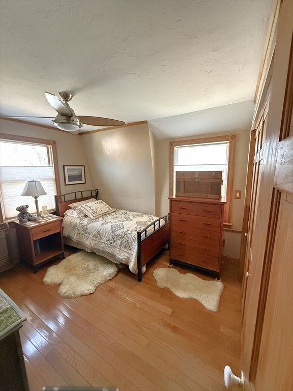 16 Cotton Ave