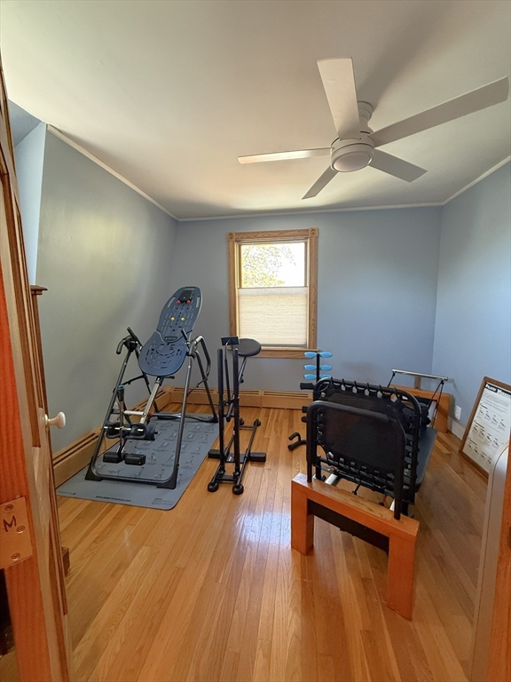 16 Cotton Ave