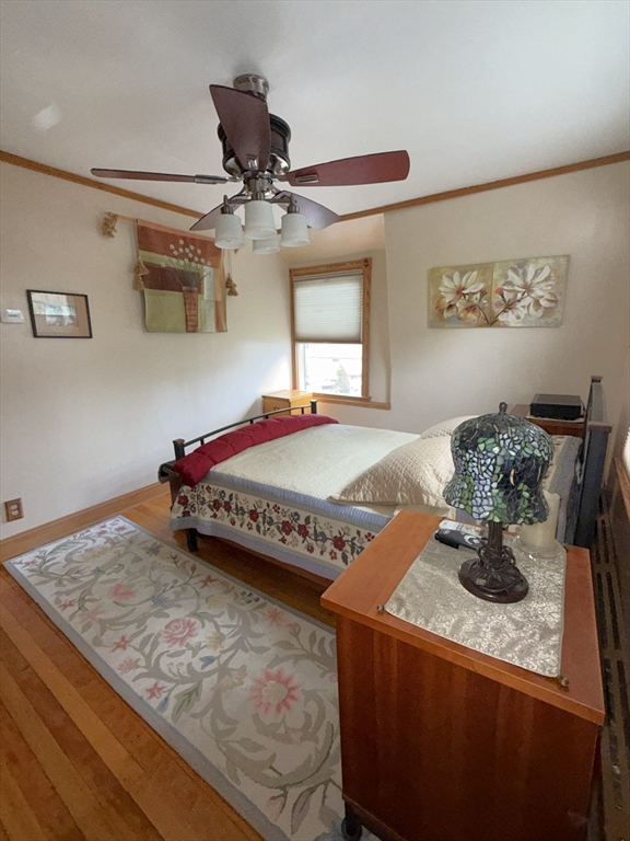 16 Cotton Ave