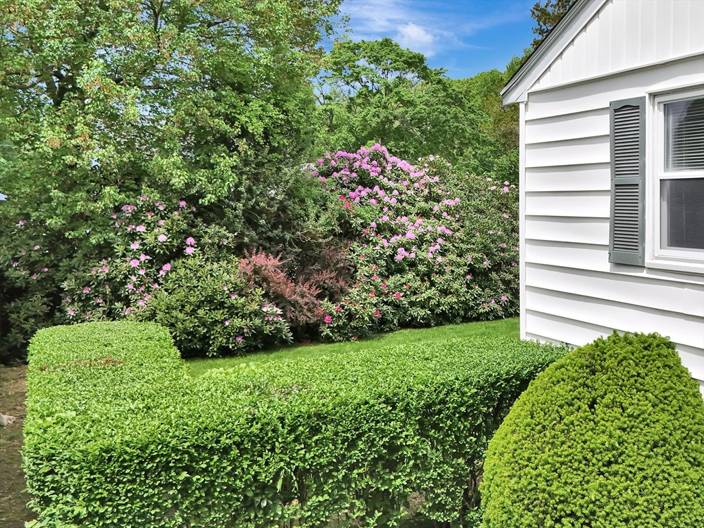 291 Levin Rd