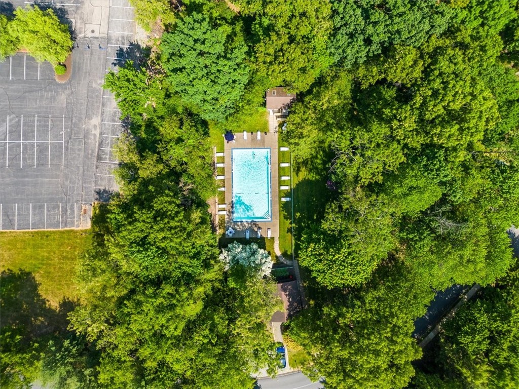 805 Forest Edge Court