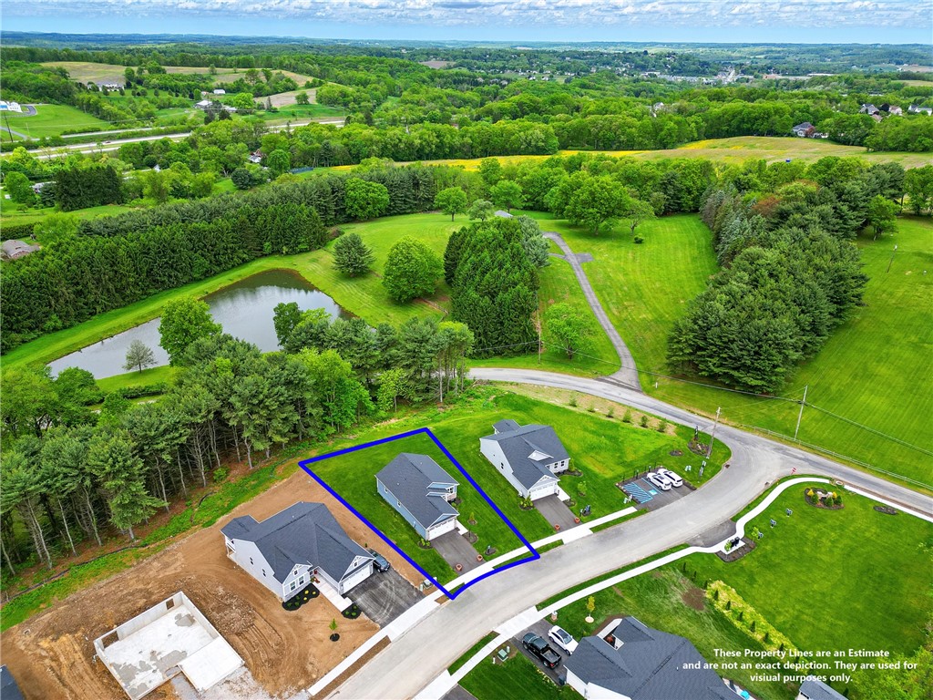 102 Bristlecone Ct