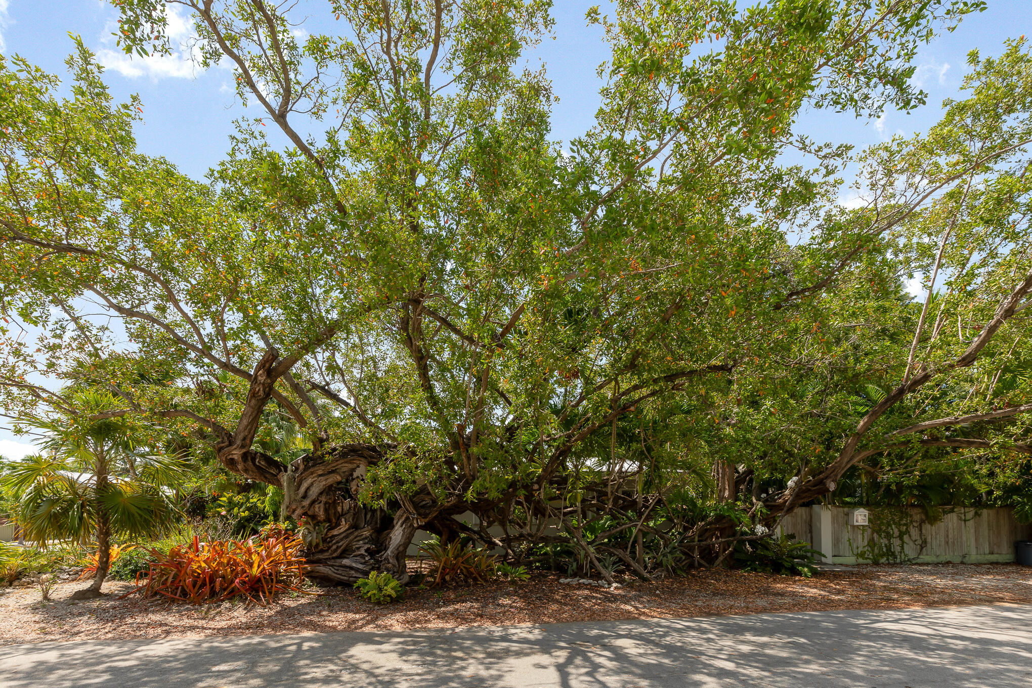 1414 Leon Street