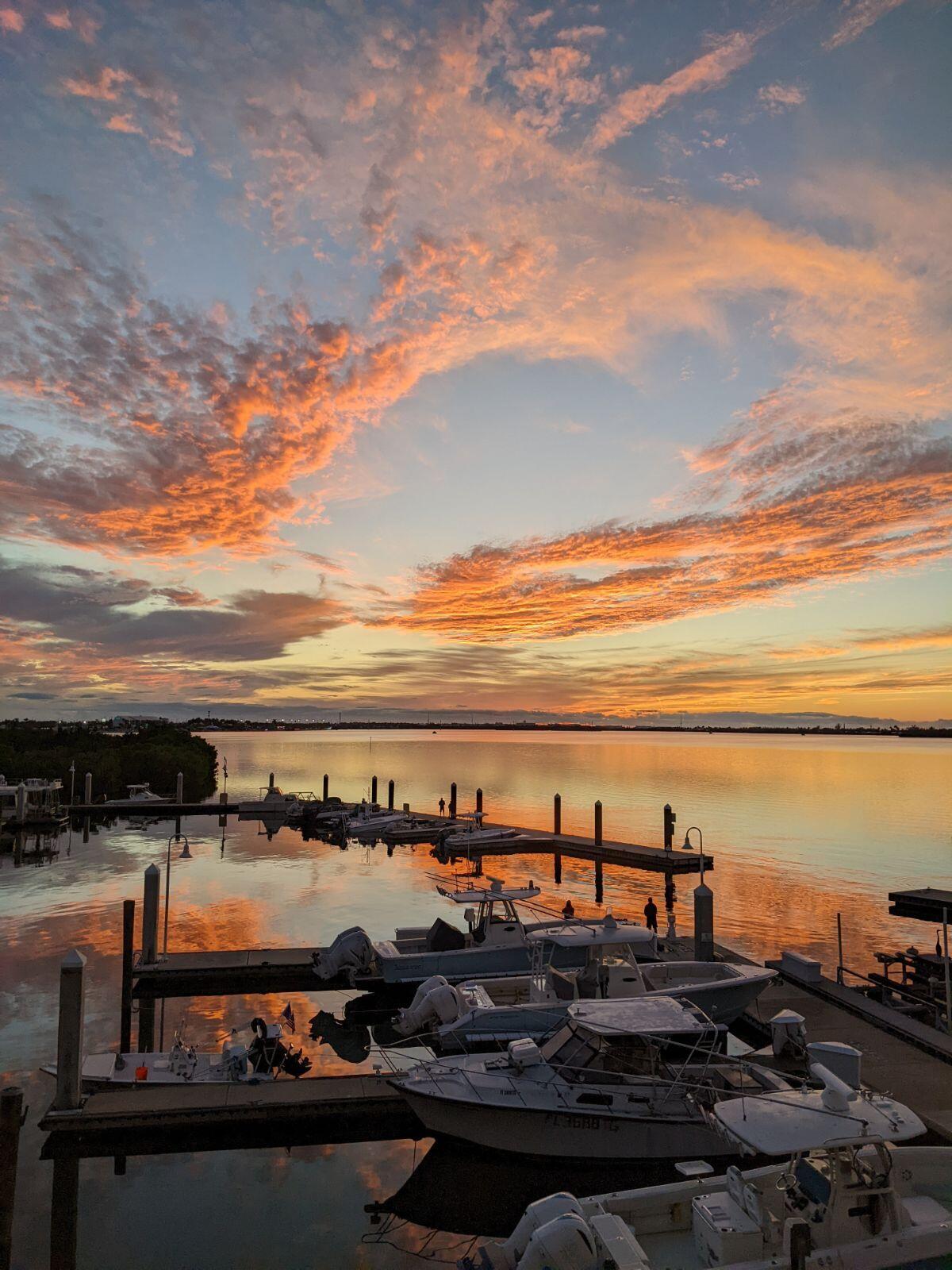 5607 College Road Unit: A101