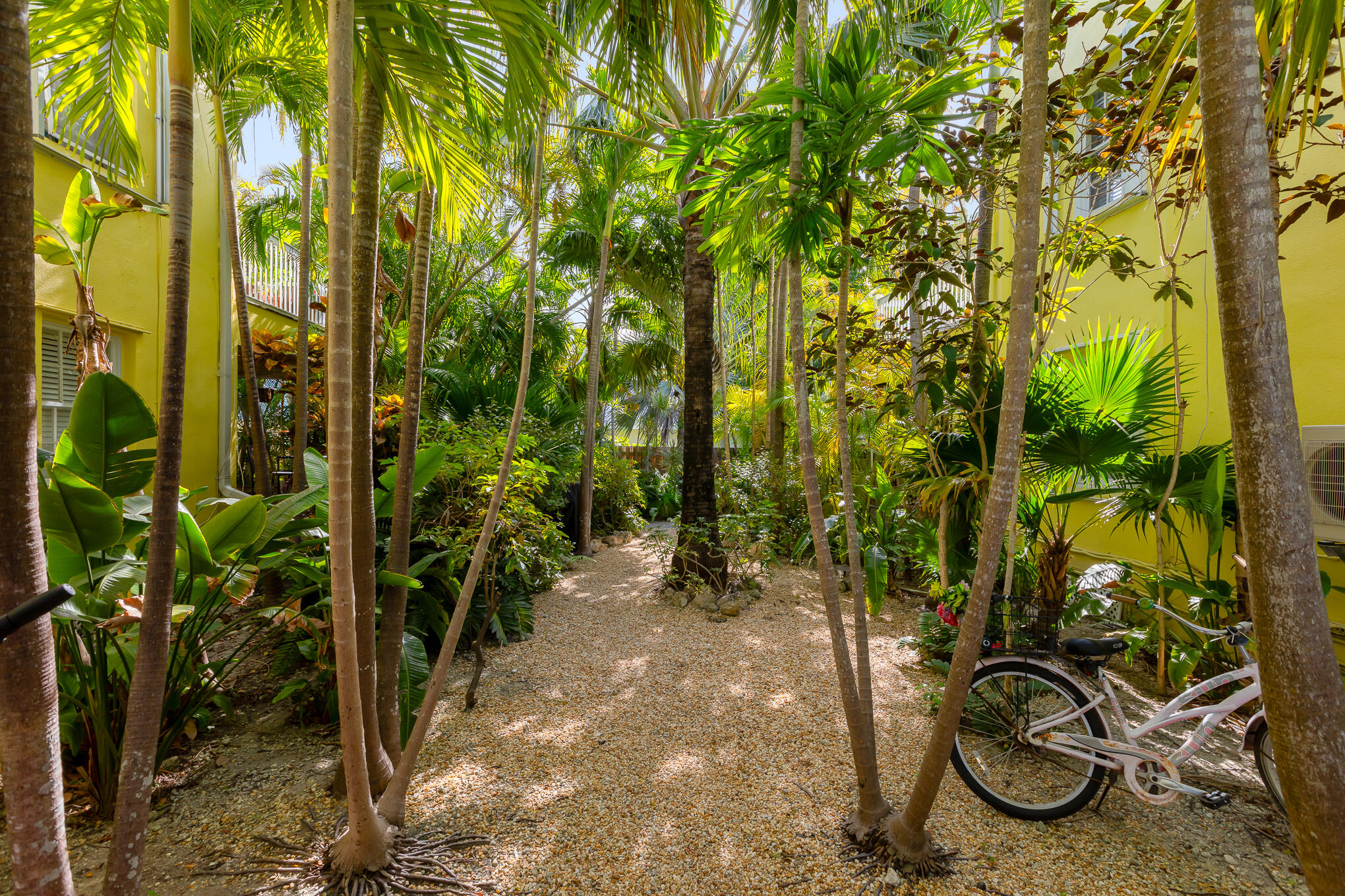 816 South Street Unit: 4