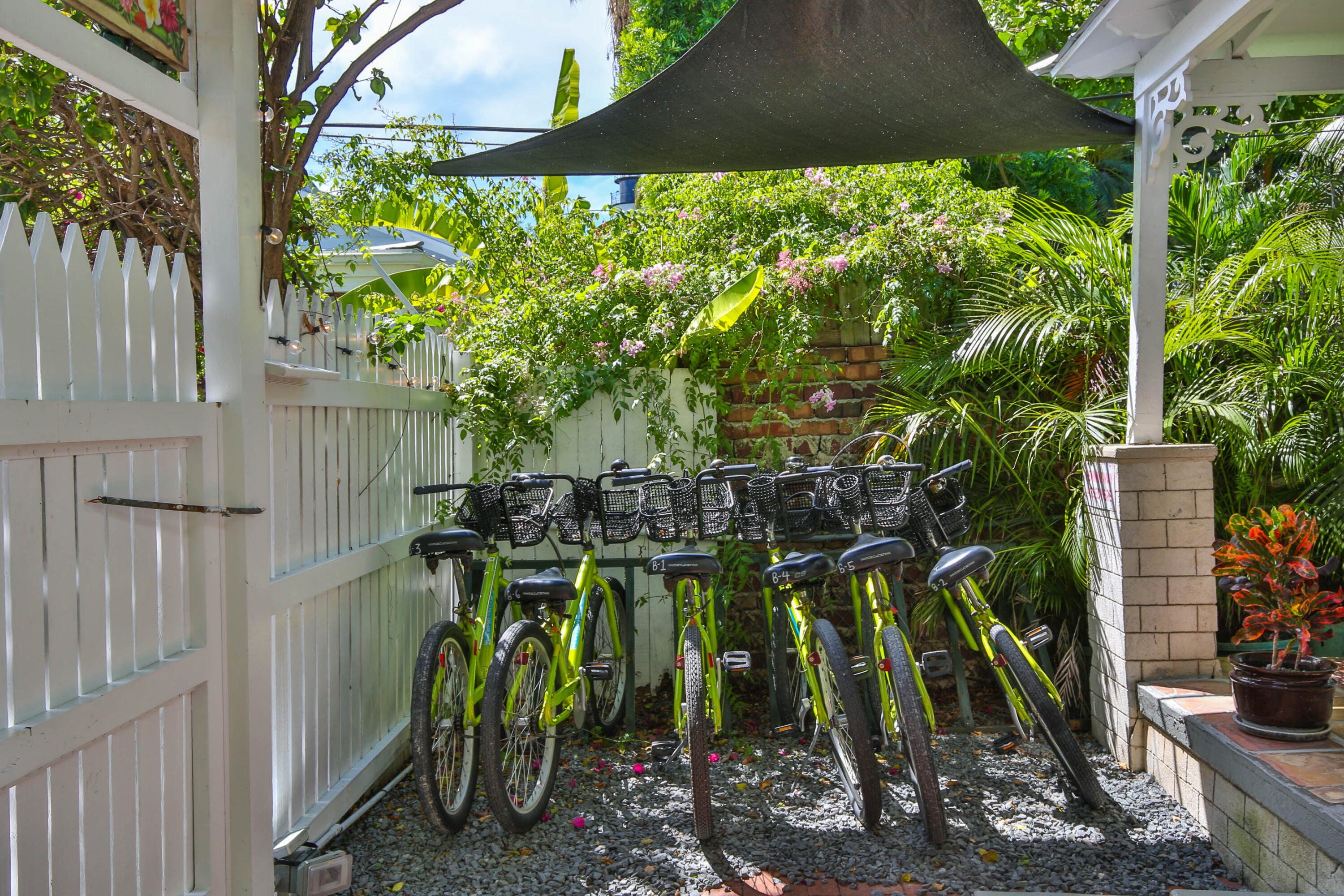 223 Eanes Lane