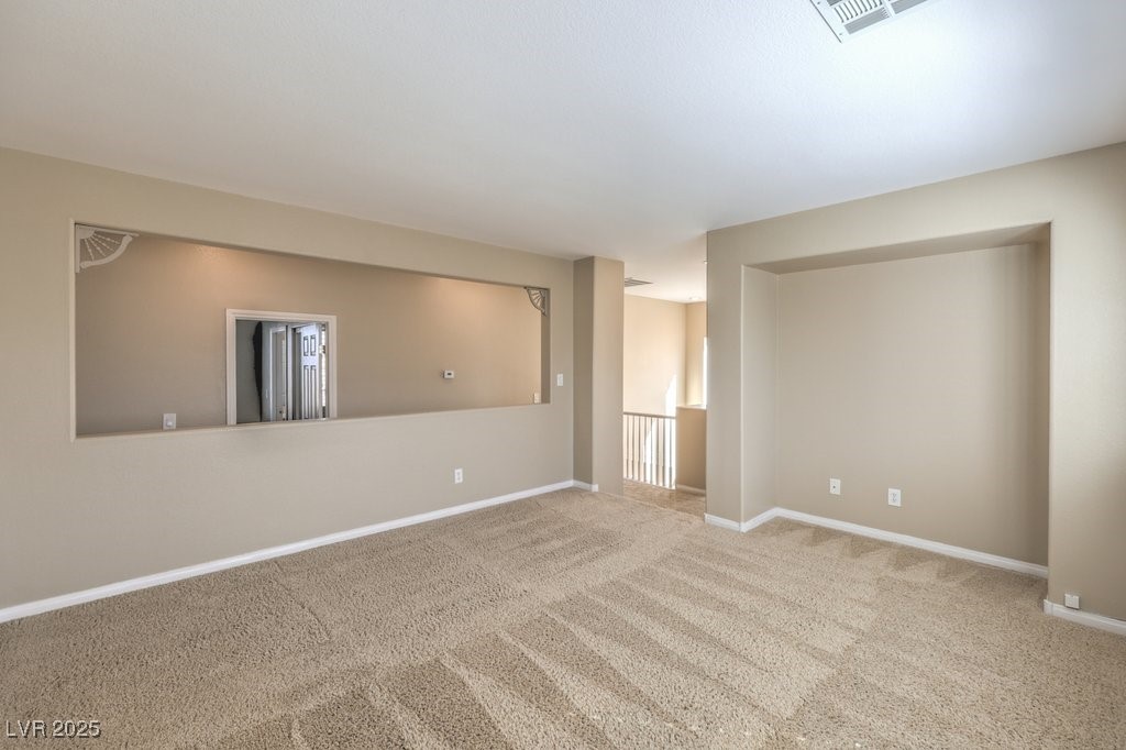 7709 Tiny Tortoise Street