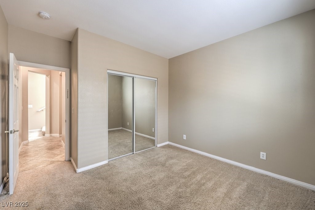 7709 Tiny Tortoise Street