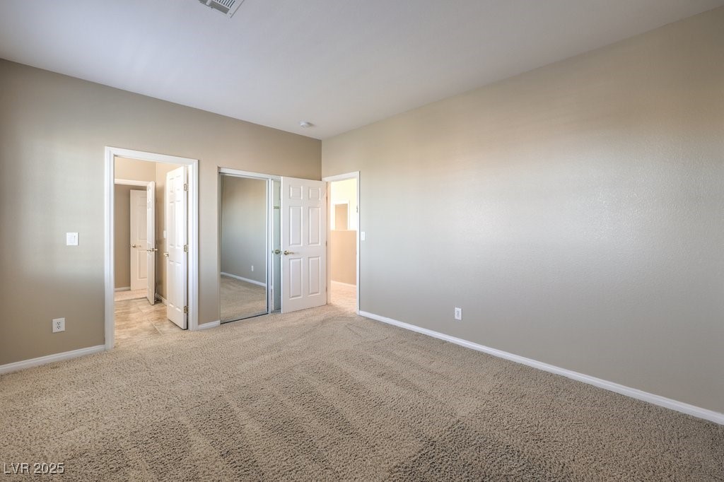 7709 Tiny Tortoise Street