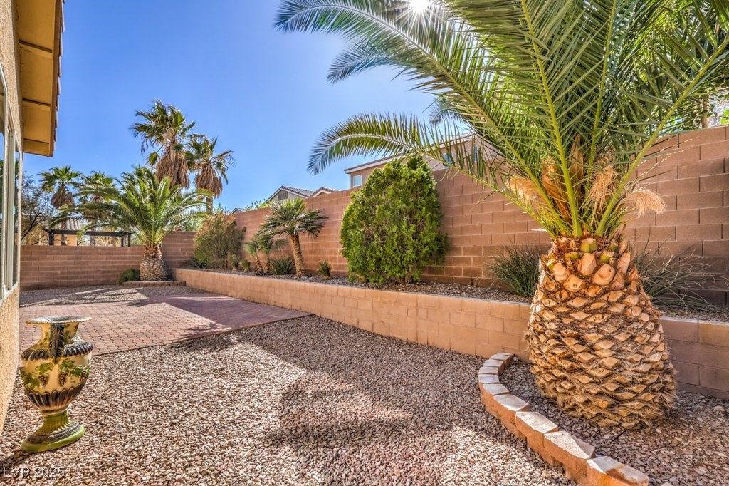 7709 Tiny Tortoise Street