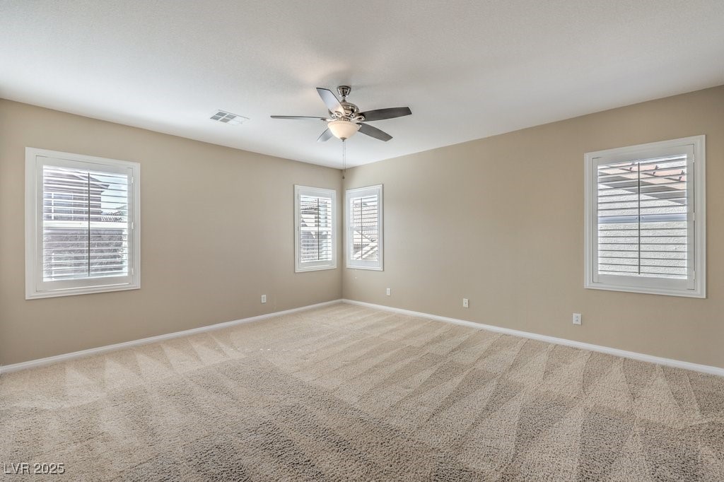 7709 Tiny Tortoise Street