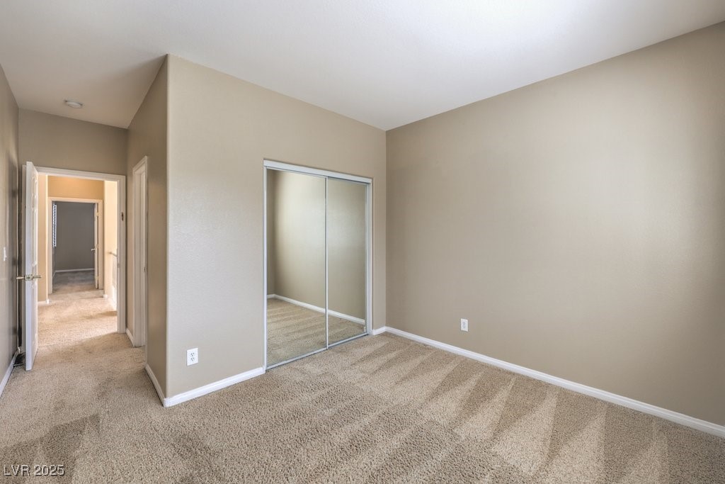 7709 Tiny Tortoise Street