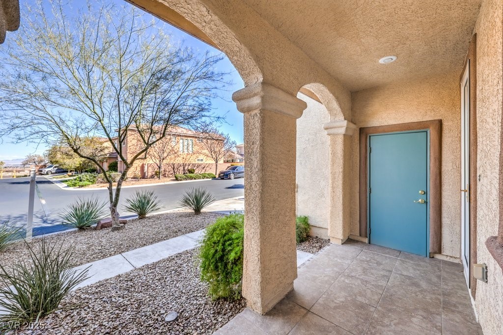 7709 Tiny Tortoise Street