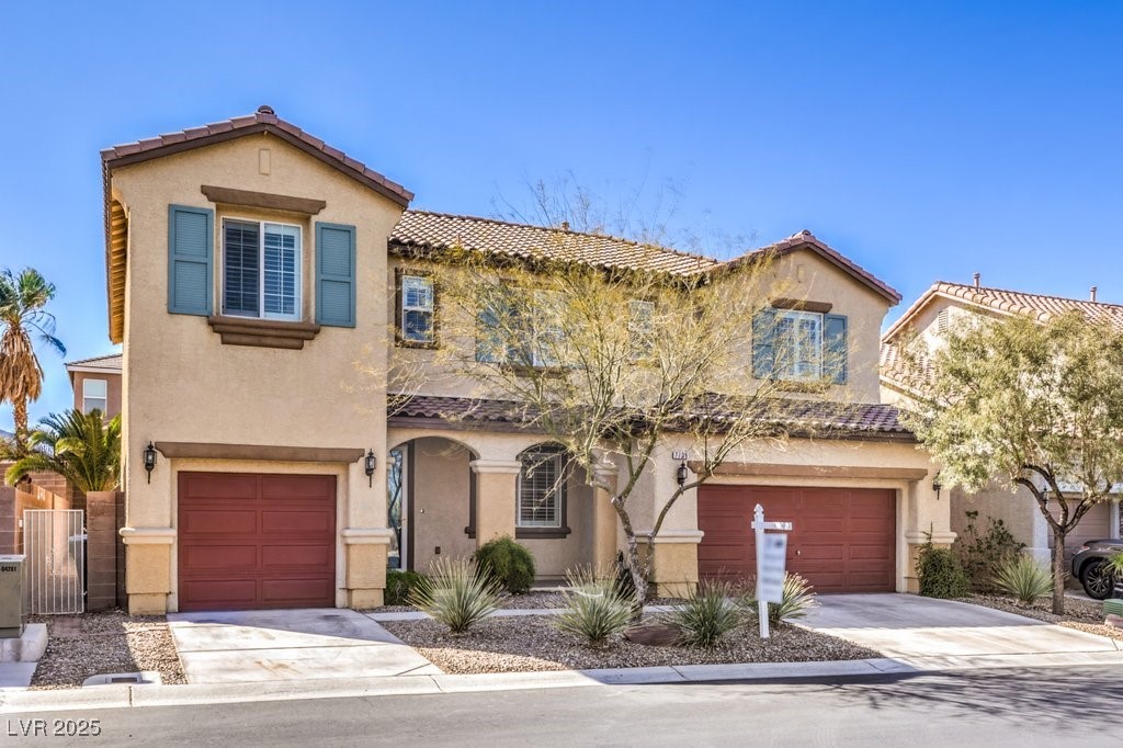 7709 Tiny Tortoise Street