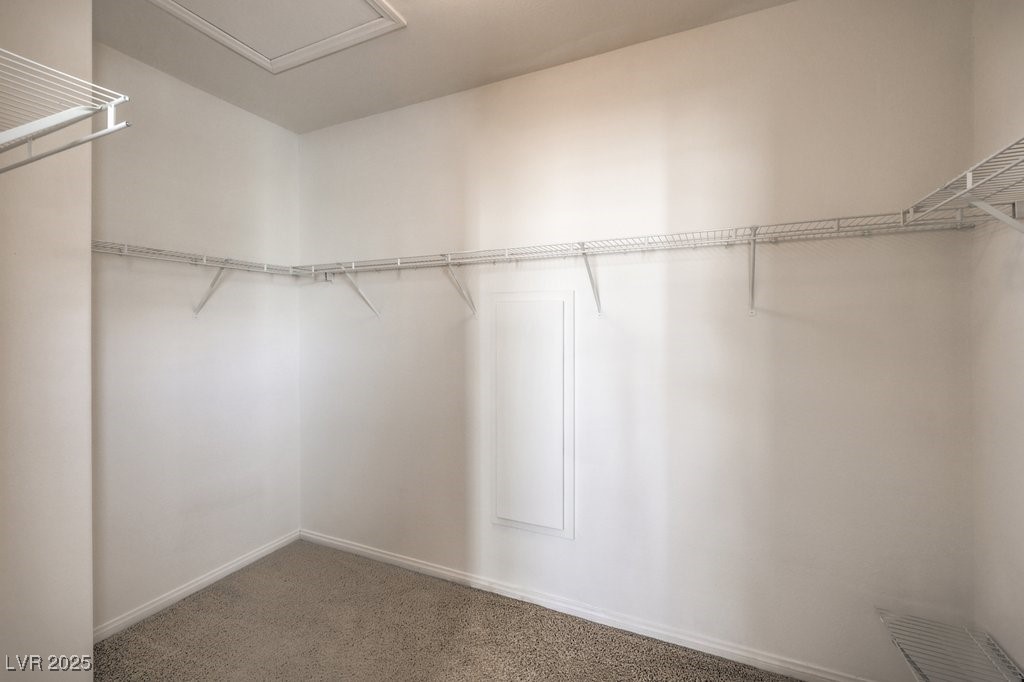 7709 Tiny Tortoise Street