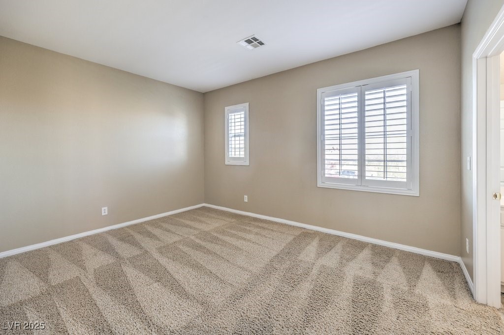 7709 Tiny Tortoise Street