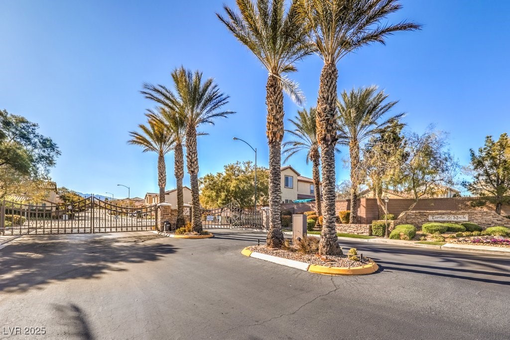 7709 Tiny Tortoise Street