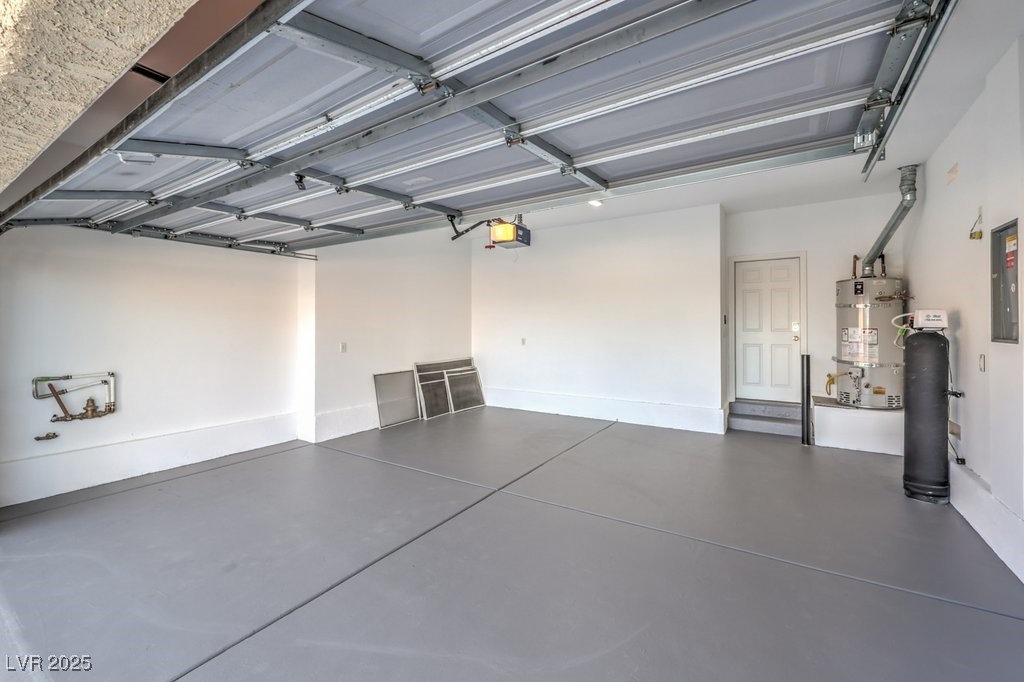 7709 Tiny Tortoise Street