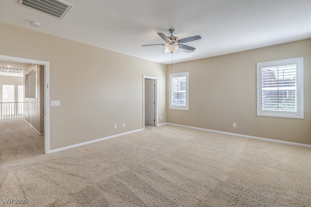 7709 Tiny Tortoise Street