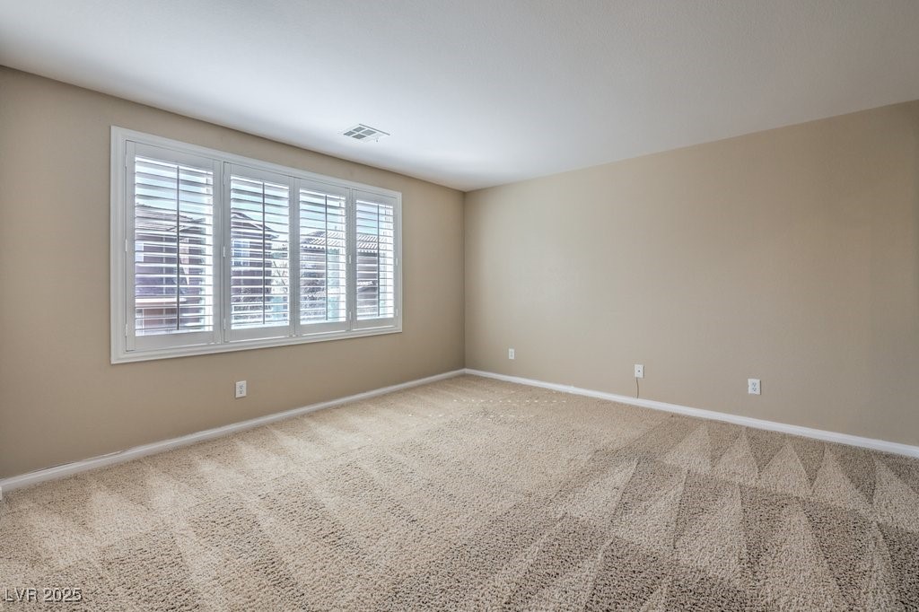 7709 Tiny Tortoise Street