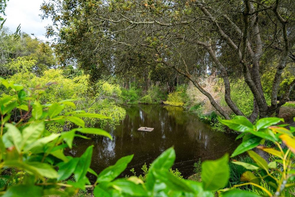 789 Green Valley Road 105