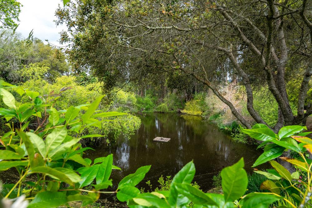 789 Green Valley Road 105