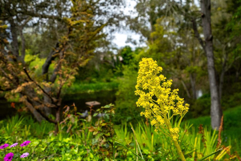 789 Green Valley Road 105