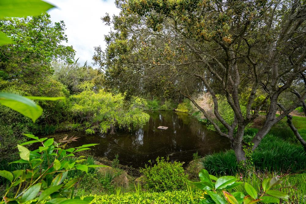 789 Green Valley Road 105