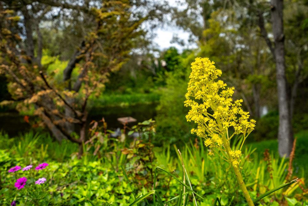 789 Green Valley Road 105