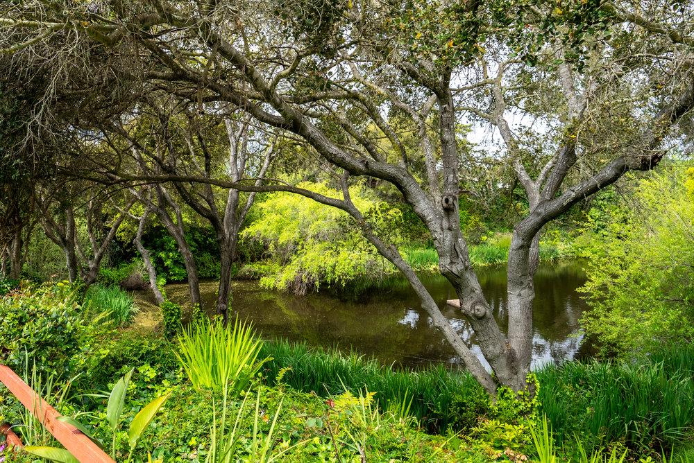 789 Green Valley Road 105