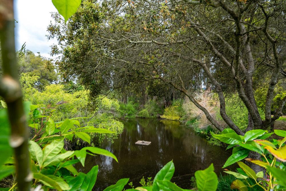 789 Green Valley Road 105