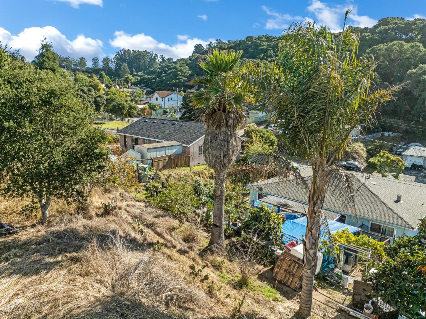 29 Clausen DR
