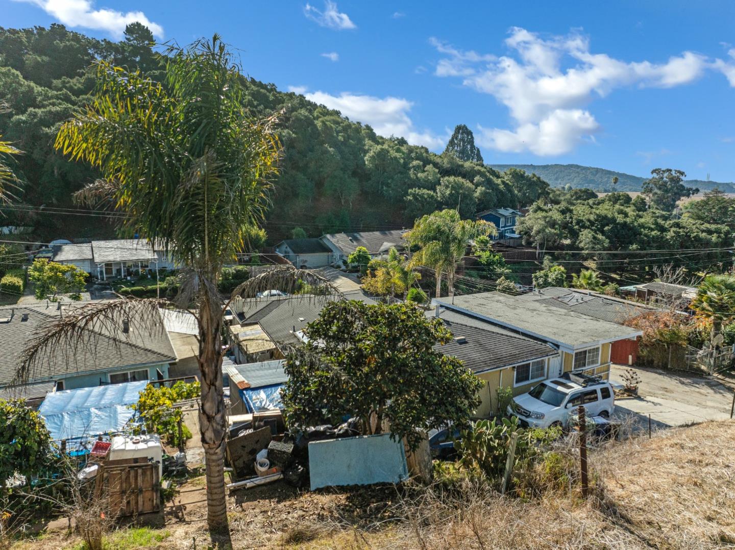 29 Clausen DR
