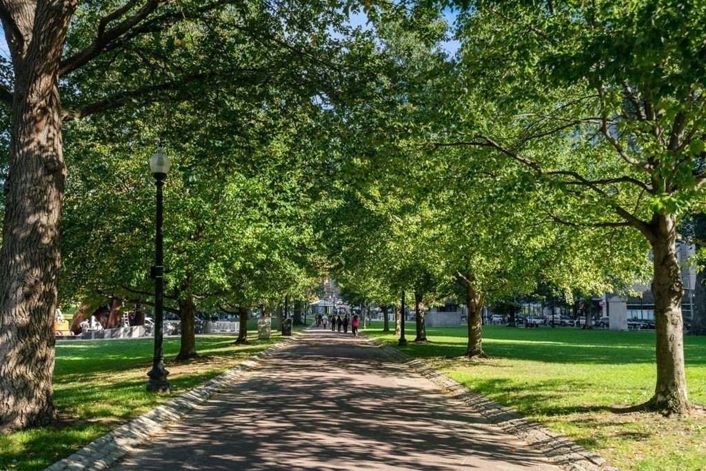 151 Tremont Street # 14A