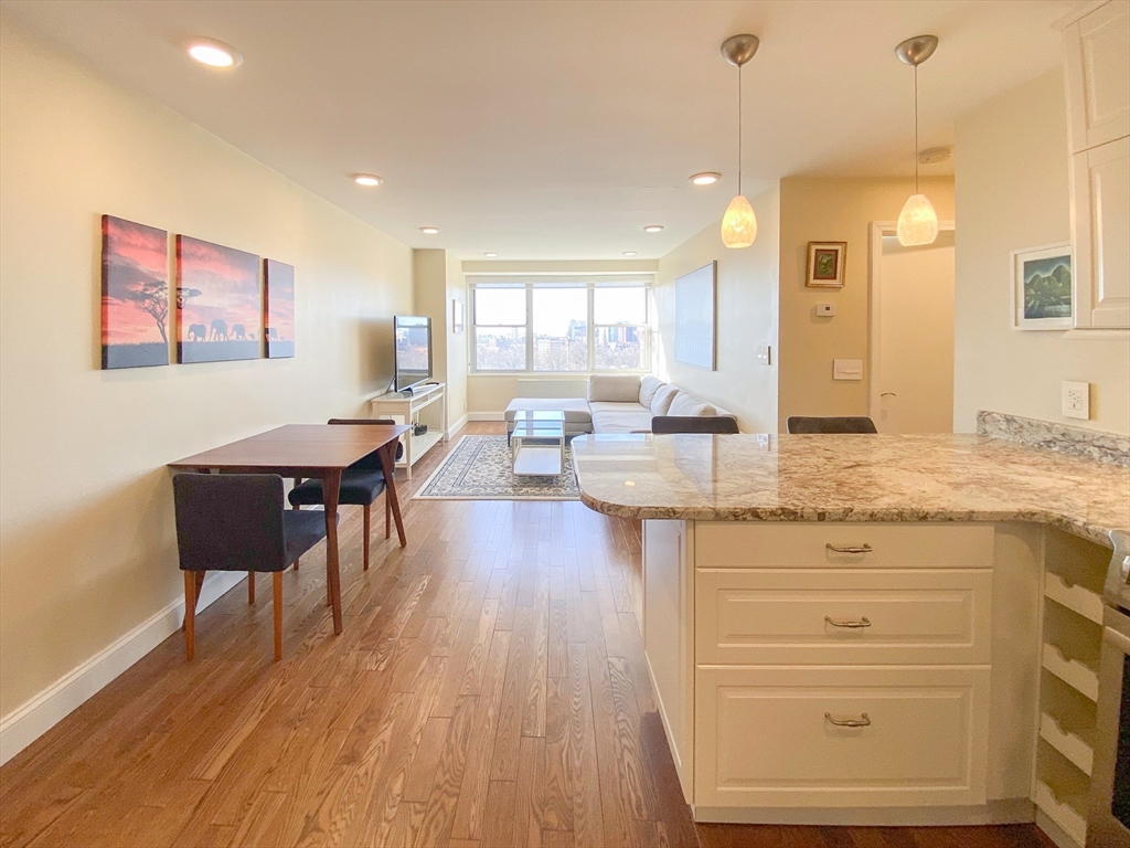 151 Tremont Street # 11L