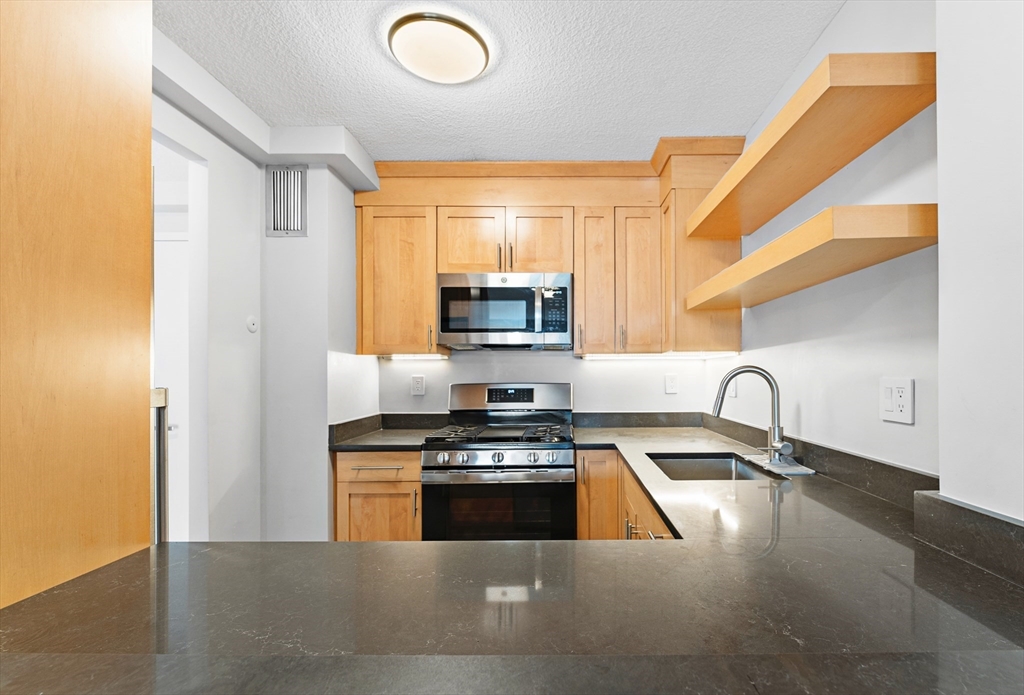 151 Tremont Street # 14B