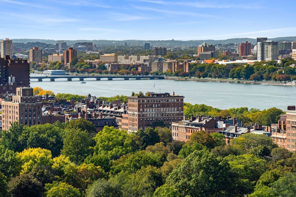 151 Tremont St # 18M