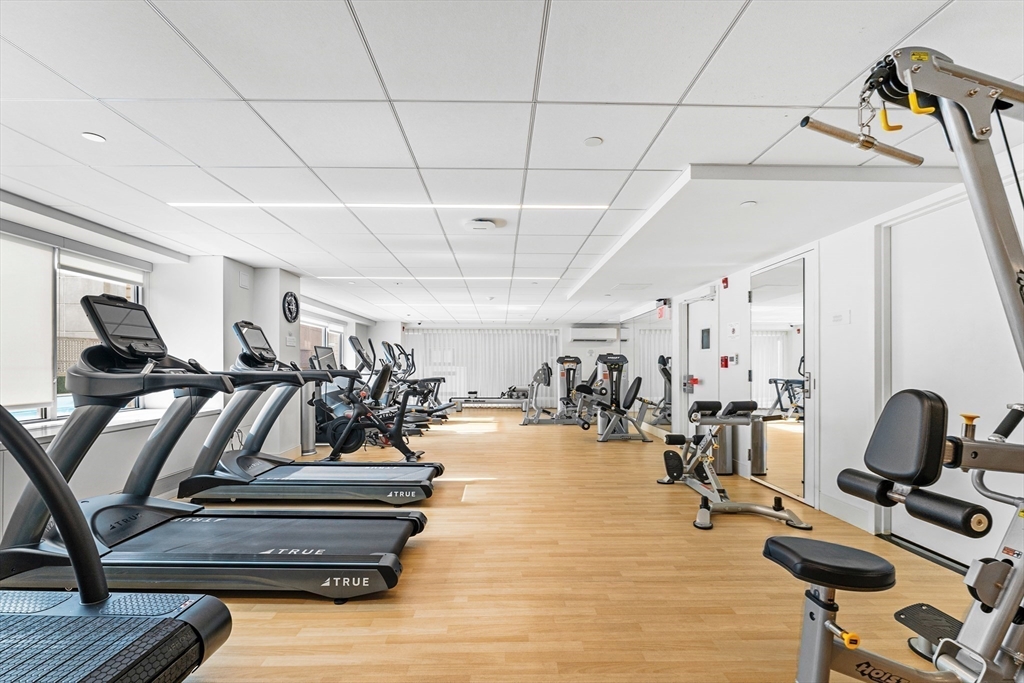 151 Tremont Street # 24S