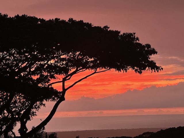 75-665 KULA KAI PL