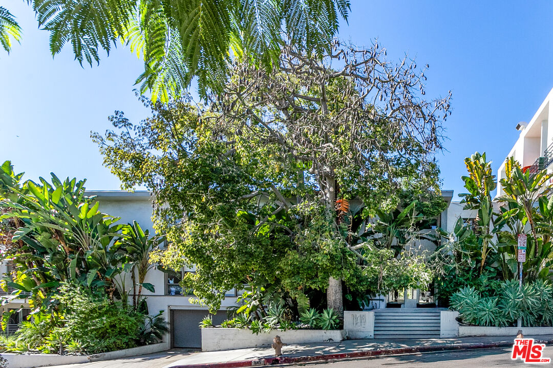 1145 Larrabee St Unit: 6