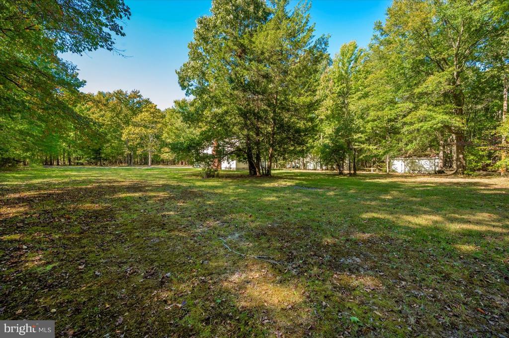 1552 DENNIS ROAD