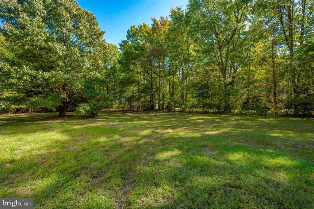 1552 DENNIS ROAD